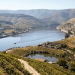 Douro Valley : Exclusive and Sustainable experience - Practical Details and What to Expect