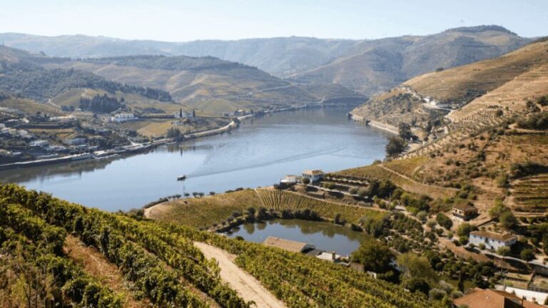 Douro Valley : Exclusive and Sustainable experience - Practical Details and What to Expect