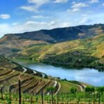 Douro Valley: Full-Day Private Tour from Porto - Who Will Love This Tour?
