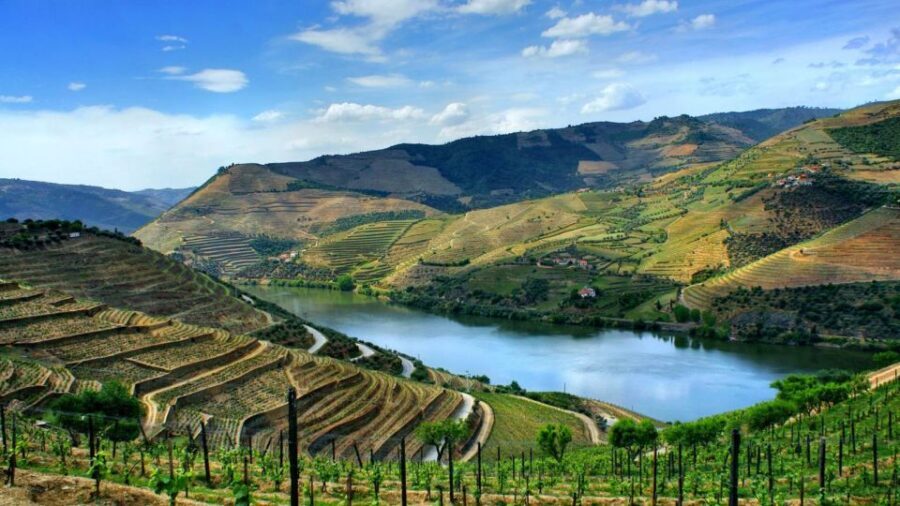 Douro Valley: Full-Day Private Tour from Porto - Who Will Love This Tour?