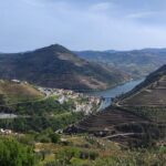Douro Valley full experience with limited small group - The Third Stop: Vintage House in Sabrosa