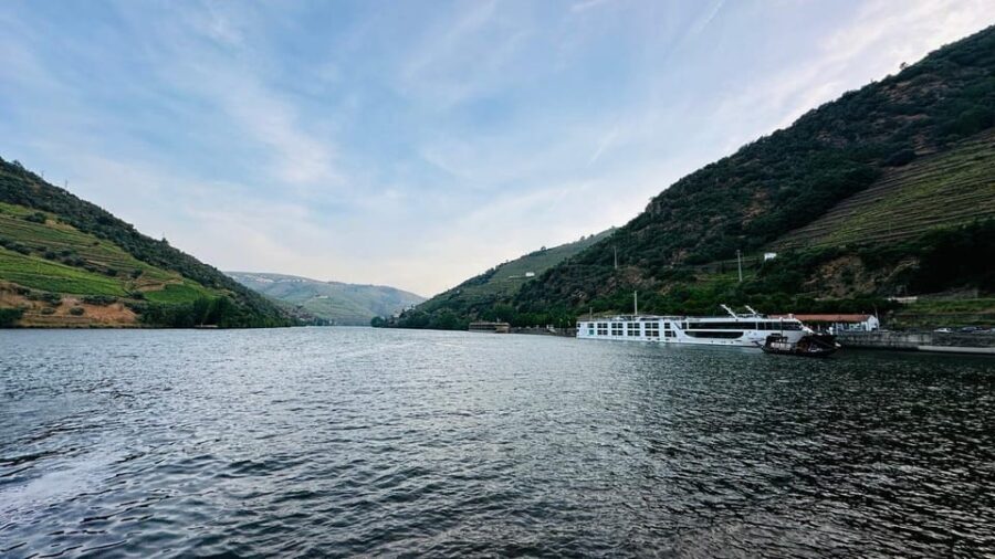 Douro Valley Journey: 4 Cities and Wine Estate All-Included - What Makes This Tour Stand Out?
