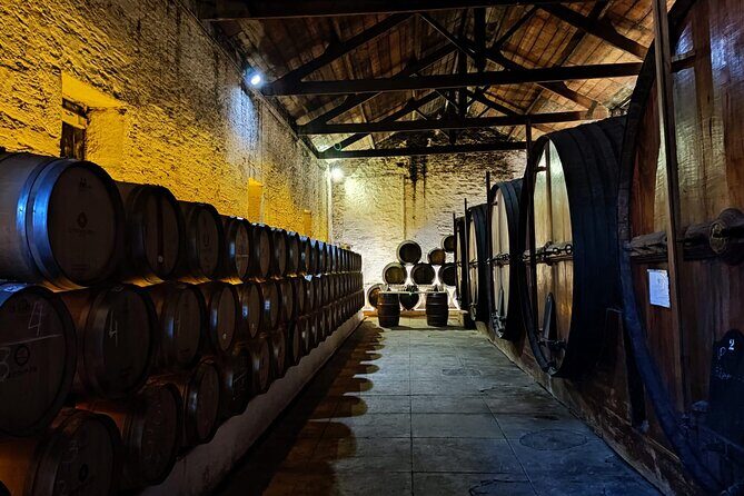 Douro Valley Pinhao Quinta da Foz Tour and Tasting 5 Wines - What Travelers Say: Authentic Insights from Reviews