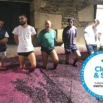 Douro Valley Premium Private - Who Should Consider This Tour?