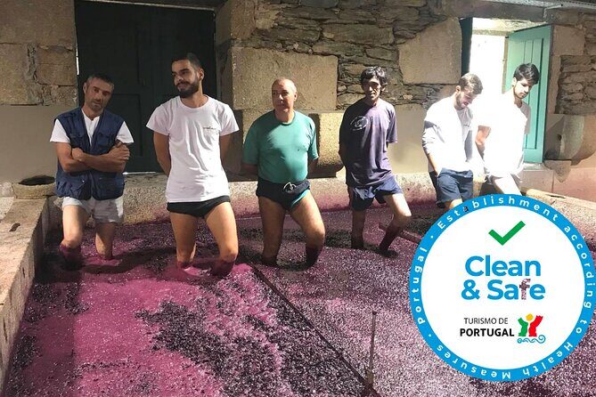 Douro Valley Premium Private - Who Should Consider This Tour?