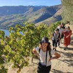 Douro Valley Premium Tours - Private Driver & Guide - Key Points