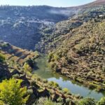 Douro Valley Prime Tour: Wine Tastings, Boat and Lunch from Porto - Transportation and Group Size: Why It Matters