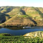 Douro Valley Private Full-Day Tour from Porto - Who Would Love This Tour?