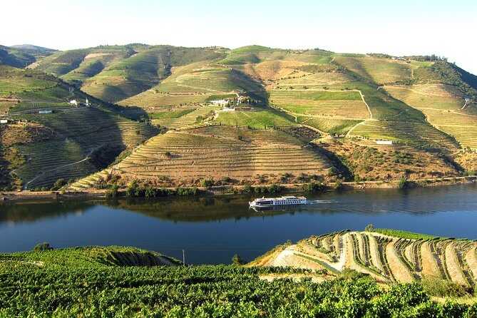 Douro Valley Private Full-Day Tour from Porto - Who Would Love This Tour?