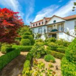 Douro Valley: Private Lunch with Wine & Olive Oil Tasting - Who Is This Tour Best For?