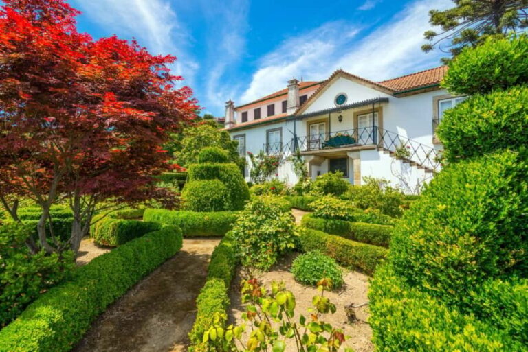 Douro Valley: Private Lunch with Wine & Olive Oil Tasting - Who Is This Tour Best For?