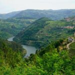 Douro Valley private tour from Lisbon - Authentic Insights from Reviewers