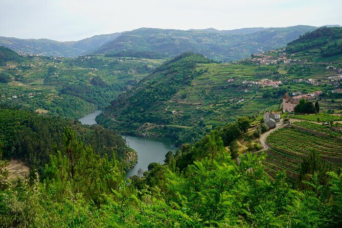 Douro Valley private tour from Lisbon - Authentic Insights from Reviewers