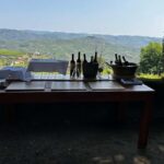 Douro Valley: Private Tour & Guided Wine & Olive Oil Tasting - What Makes This Tour Truly Special
