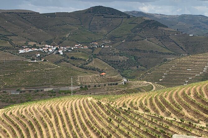 Douro Valley private tour includes wine tasting and boat trip - Authentic Experiences and Insights from Travelers
