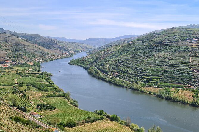 Douro Valley Private Tour (winery + boat + viewpoint) - What Travelers Say