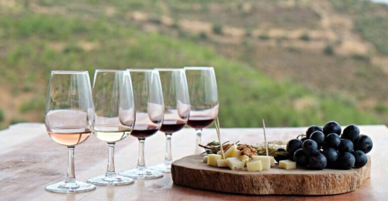 Douro Valley Private Tour with 2 wine tastings - Itinerary Breakdown: What You Can Expect