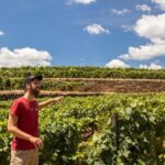 Douro Valley: private tour with lunch and wine estate all inclusive - A Deep Dive Into the Douro Valley Tour Experience