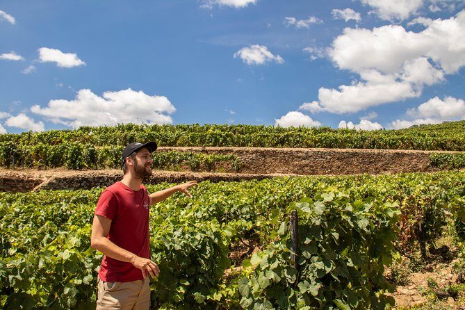 Douro Valley: private tour with lunch and wine estate all inclusive - A Deep Dive Into the Douro Valley Tour Experience