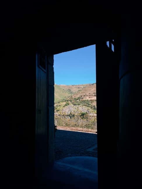 Douro Valley: PRIVATE TOURS with 1 Wine Tasting - A Deep Dive into the Douro Valley Experience
