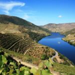 Douro Valley Private Wine Tour from Lisbon - The Experience: What to Expect on the Douro Valley Private Tour