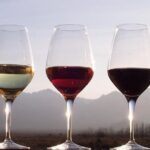 Douro Valley Private Wine Tour From Porto - Comfort & Convenience