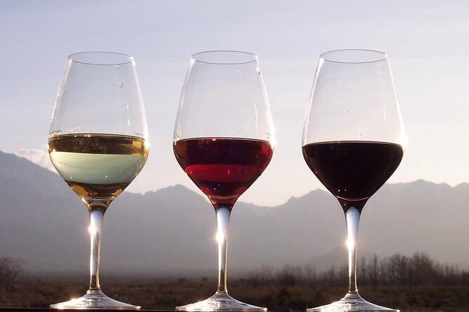 Douro Valley Private Wine Tour From Porto - Comfort & Convenience