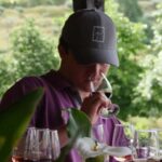 Douro Valley: Quinta do Tedo Winery Tour and Tasting - Who Will Enjoy This Tour?