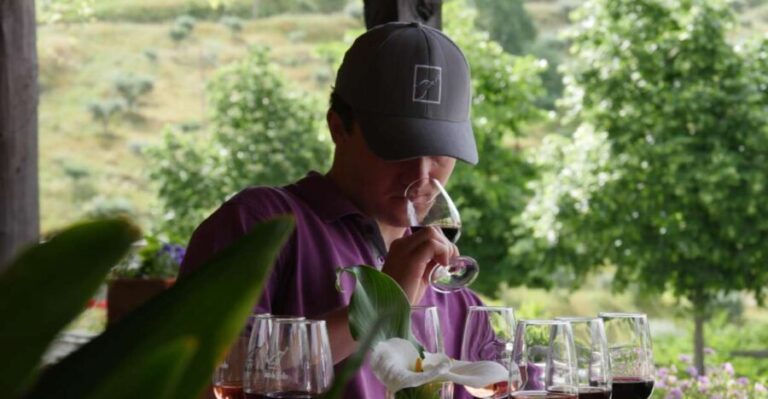 Douro Valley: Quinta do Tedo Winery Tour and Tasting - Who Will Enjoy This Tour?
