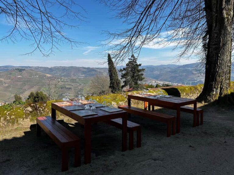 Douro Valley: Quinta Santa Júlia Tour, Wine Tasting & Lunch - Who Should Consider This Tour?