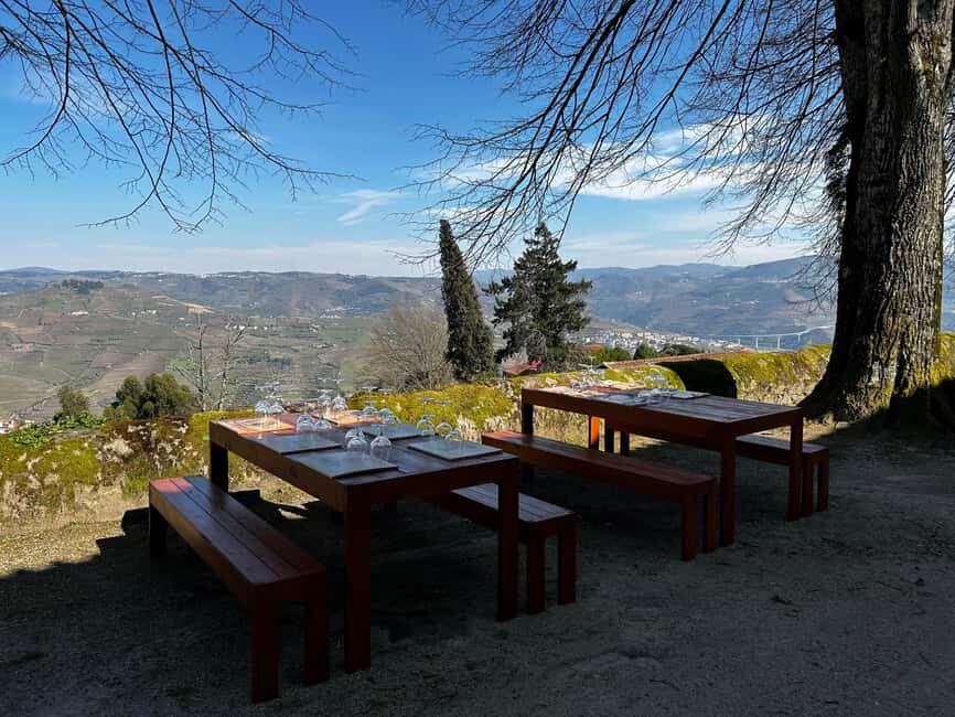 Douro Valley: Quinta Santa Júlia Tour, Wine Tasting & Lunch - Who Should Consider This Tour?