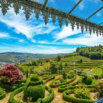 Douro Valley: Sensory Experience in the Douro: Wines, Olive Oil, and History - What Makes This Tour Stand Out?