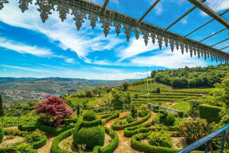 Douro Valley: Sensory Experience in the Douro: Wines, Olive Oil, and History - What Makes This Tour Stand Out?