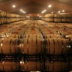 Douro Valley Tour: Wine Tasting, Cruise and Lunch from Porto - First Stop: Porto and the Journey Begins