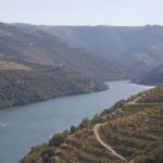Douro Valley Tour: Wine Tasting River Cruise and Lunch from Porto - Authenticity and Insider Tips