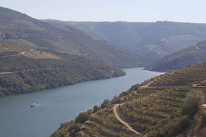 Douro Valley Tour: Wine Tasting River Cruise and Lunch from Porto - Authenticity and Insider Tips