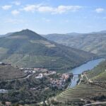 Douro Valley Tour with Train and Vinho Verde - Who Is This Tour Ideal For?