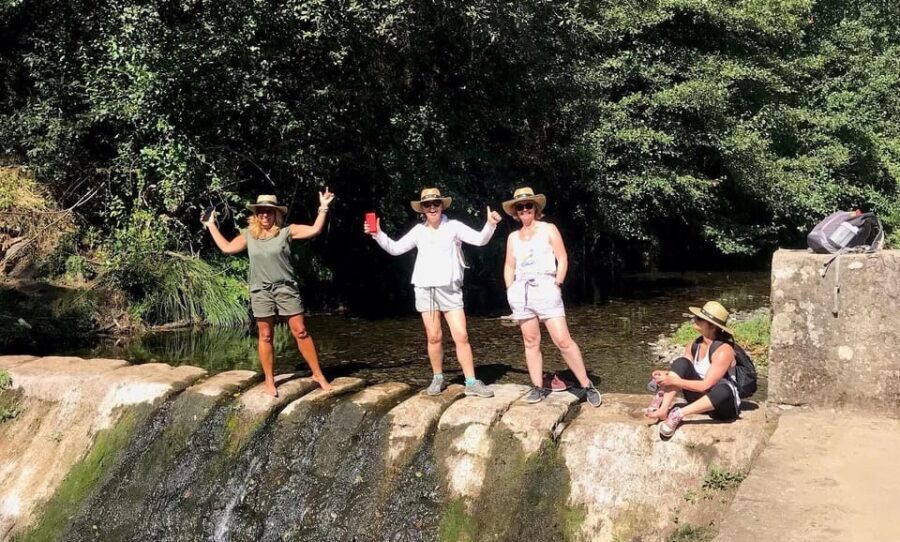 Douro Valley: water walking adventure with local lunch - Practical Details: What You Need to Know