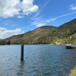 Douro Valley Wine Tour: Boat Ride, 3 Tastings & Delicious Food - Small Group - Price and Value
