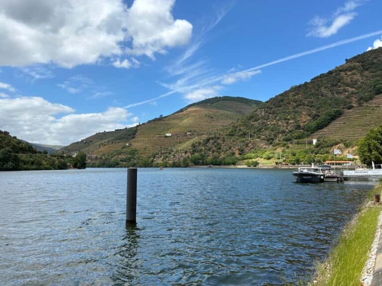 Douro Valley Wine Tour: Boat Ride, 3 Tastings & Delicious Food - Small Group - Price and Value