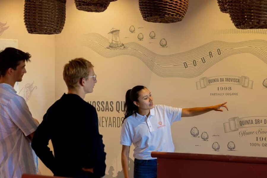 Douro Valley: Winery Tour with Port Wine Tasting and Picnic - The Guided Tasting: An Authentic Journey