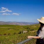 Douro Valley: Winery Visit & Premium Aged Port Wine Tasting - The Sum Up