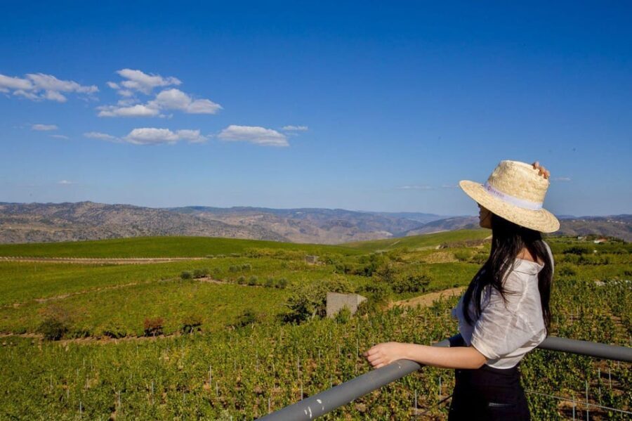 Douro Valley: Winery Visit & Premium Aged Port Wine Tasting - The Sum Up