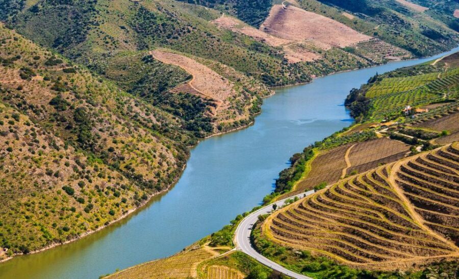 Douro: Wine Tasting and river cruise Experience - Who Should Consider This Tour?
