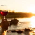 Douro Wine's Tasting Tour - Who Is This Tour Best For?