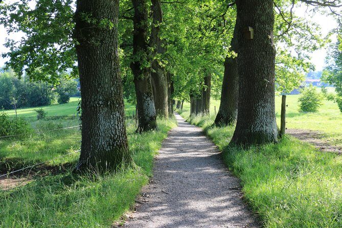 Dragon Slayer Way Beer Hike Food Experience Private Tour (departs Munich) - The Charm of Murnau: Art, Lakes, and History