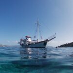 Dreamy Sails Daily Cruises at Argostoli Kefalonia Island - Practical Tips for Booking and Enjoying