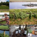 Dresden Bike Tour with Wine Tasting - Practical Tips for Your Dresden Bike & Wine Day