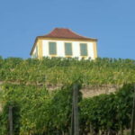 Dresden: Boat Cruise with Wine Tasting and Snacks - The Sum Up