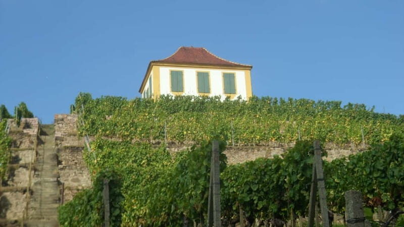 Dresden: Boat Cruise with Wine Tasting and Snacks - The Sum Up